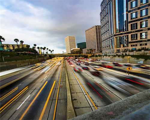 推行蓝碳行动，促进黄河三角洲高质量发展