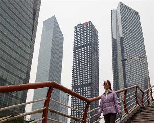 推行蓝碳行动，促进黄河三角洲高质量发展