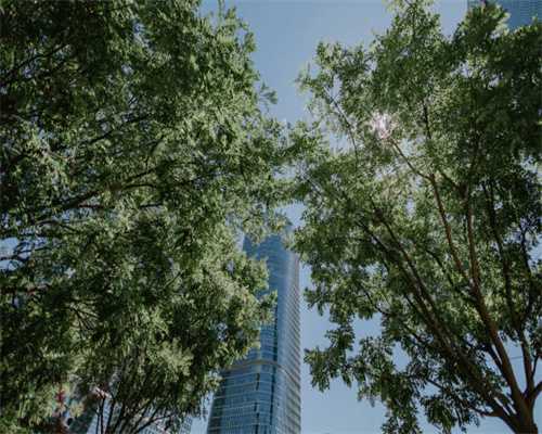 财信研报 | 受益“碳中和”，水泥行业集中度将提升