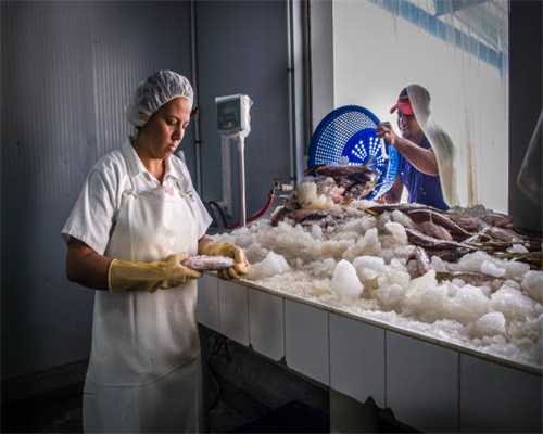 南充市公安局顺庆区分局关于征集南充吉福堂健康养生有限公司（田景兵）非法吸收公众存款案件线索的通告