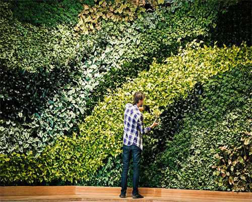 伊莎贝娜人团结一心拼未来，众志成城筑广宜