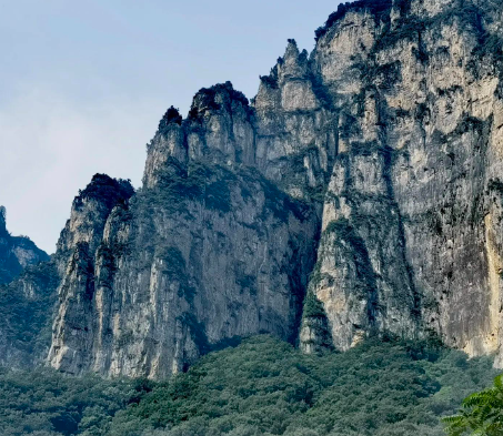 女老板隔离期还开店卖披萨，道歉了！致上百人隔离