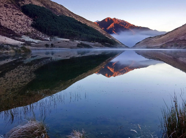 正式挂牌签约！南京这所老牌名校终于火了